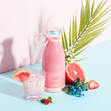 Juicer Blender Mixer 350ML